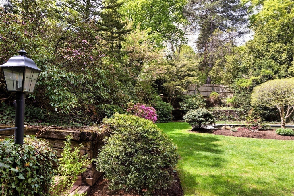 68 Dudley Street, Brookline, MA Photo #25