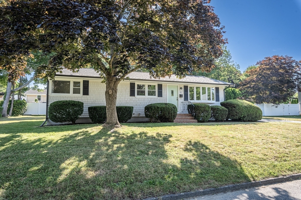 17 Hamlet St