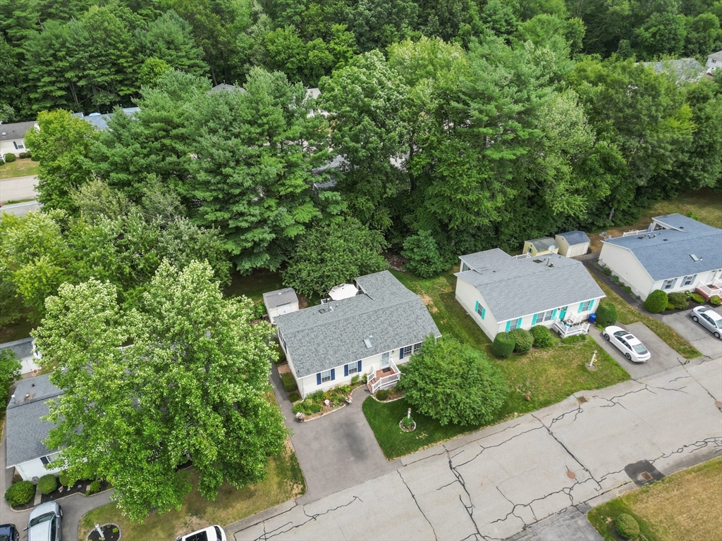 21 Trailwood Dr.