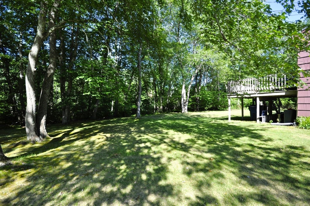 87 Lorraine Dr