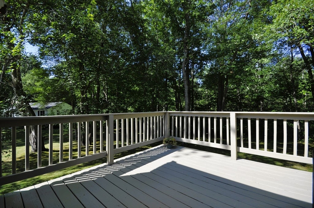 87 Lorraine Dr