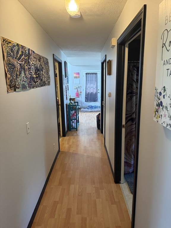 45 Orpheum Ave, Springfield, MA Photo #13
