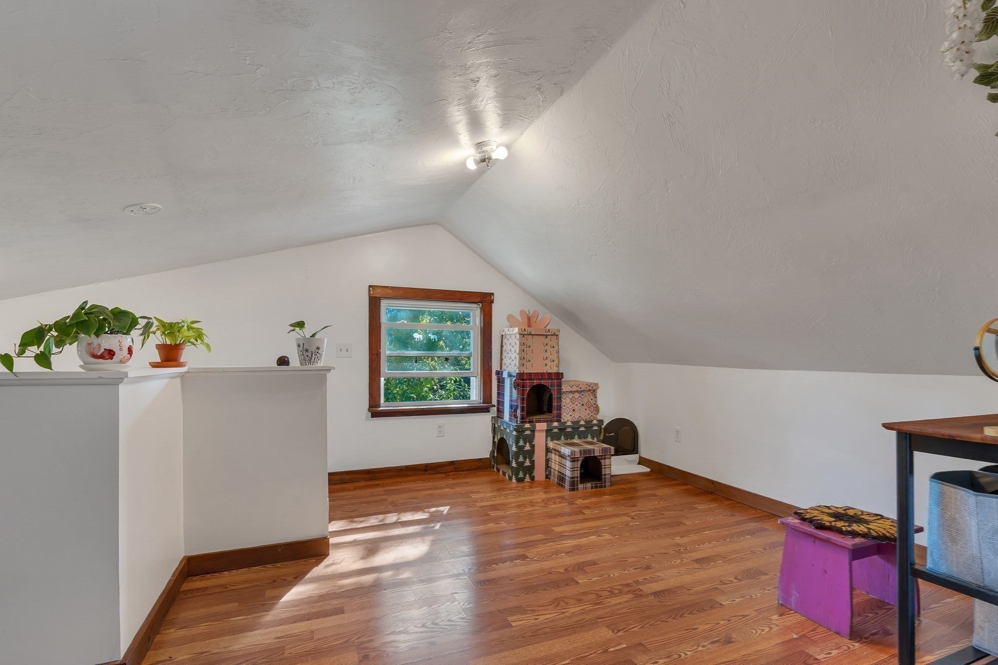 12 South Street, Leicester, MA Photo #17