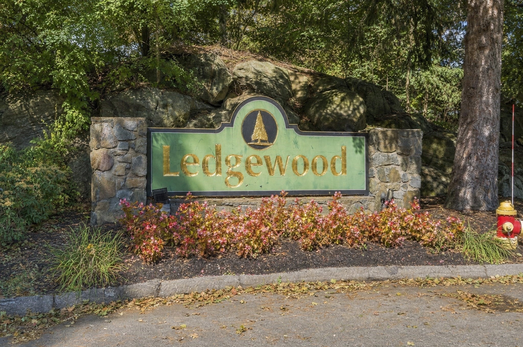 12 Ledgewood Way #21, Peabody, MA Photo #4