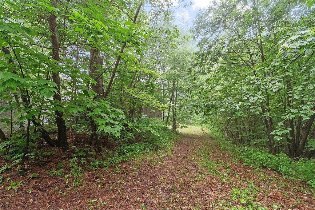 12 Pine Hill Lane