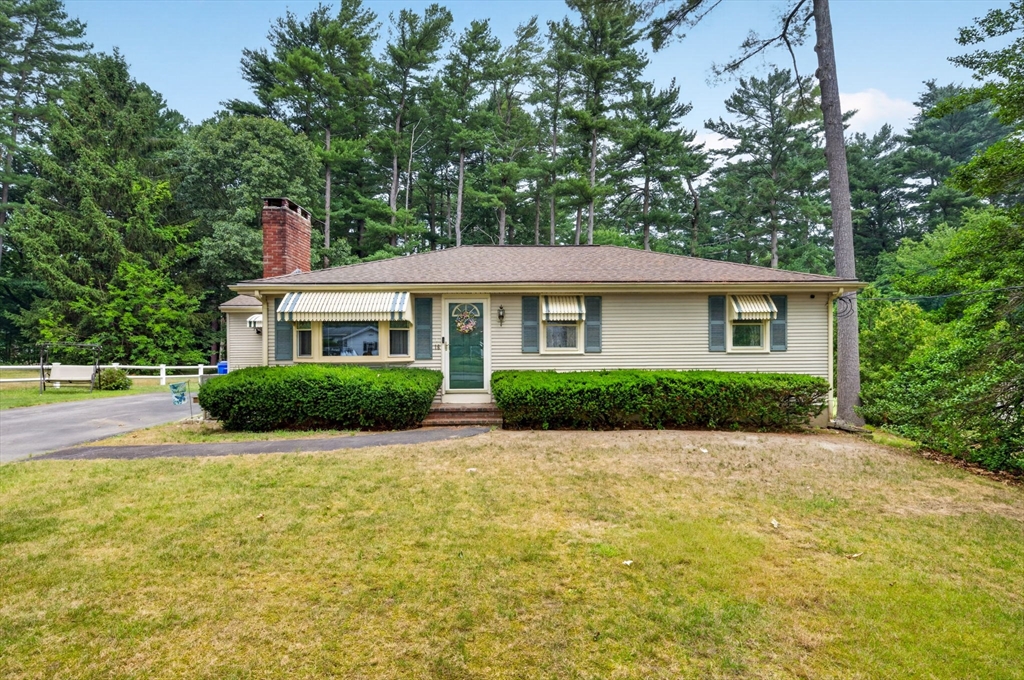 19 Pinehill St