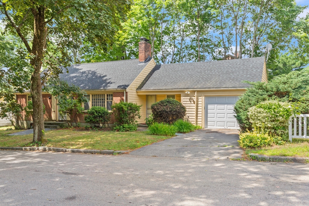 64 Augusta Ave