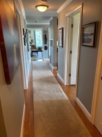 1818 Main St 316
