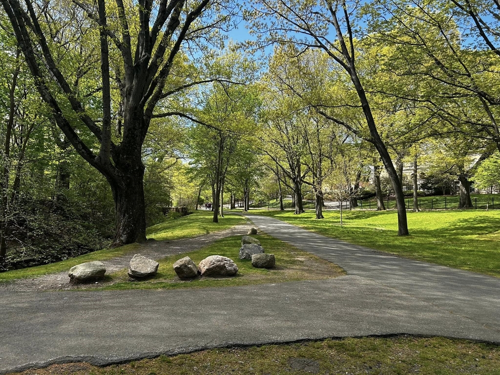 77 Pond Ave #1009, Brookline, MA Photo #23