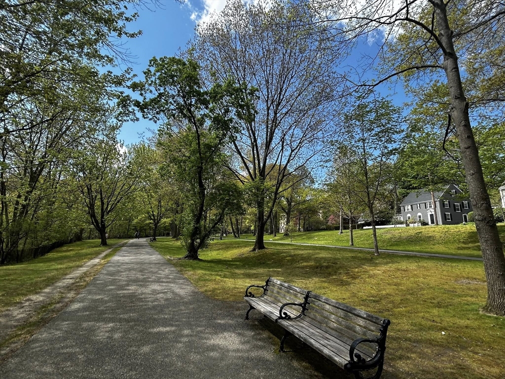 77 Pond Ave #1009, Brookline, MA Photo #24