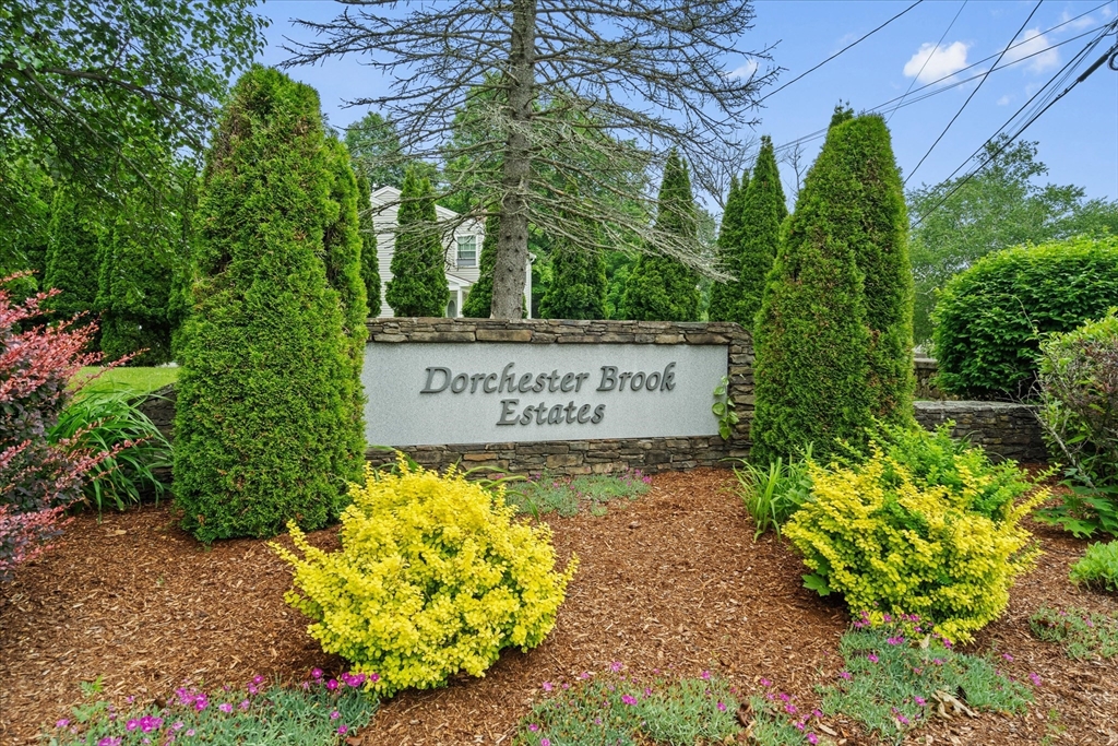 26 Arborway