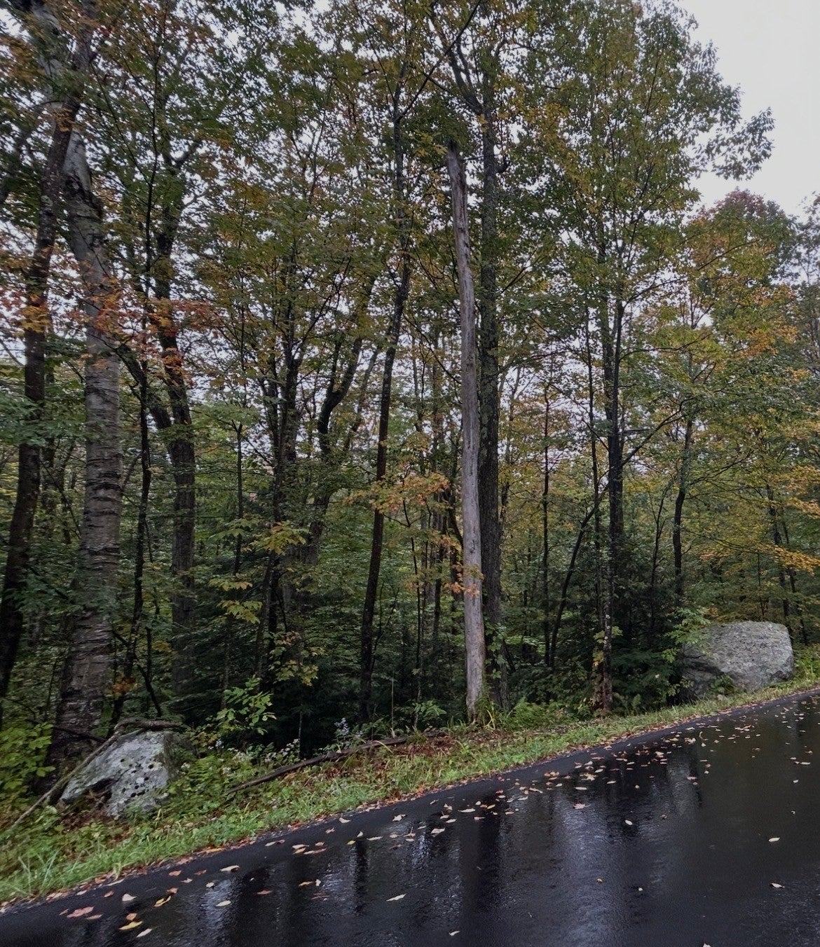 96 West St, Plainfield, MA Photo #36