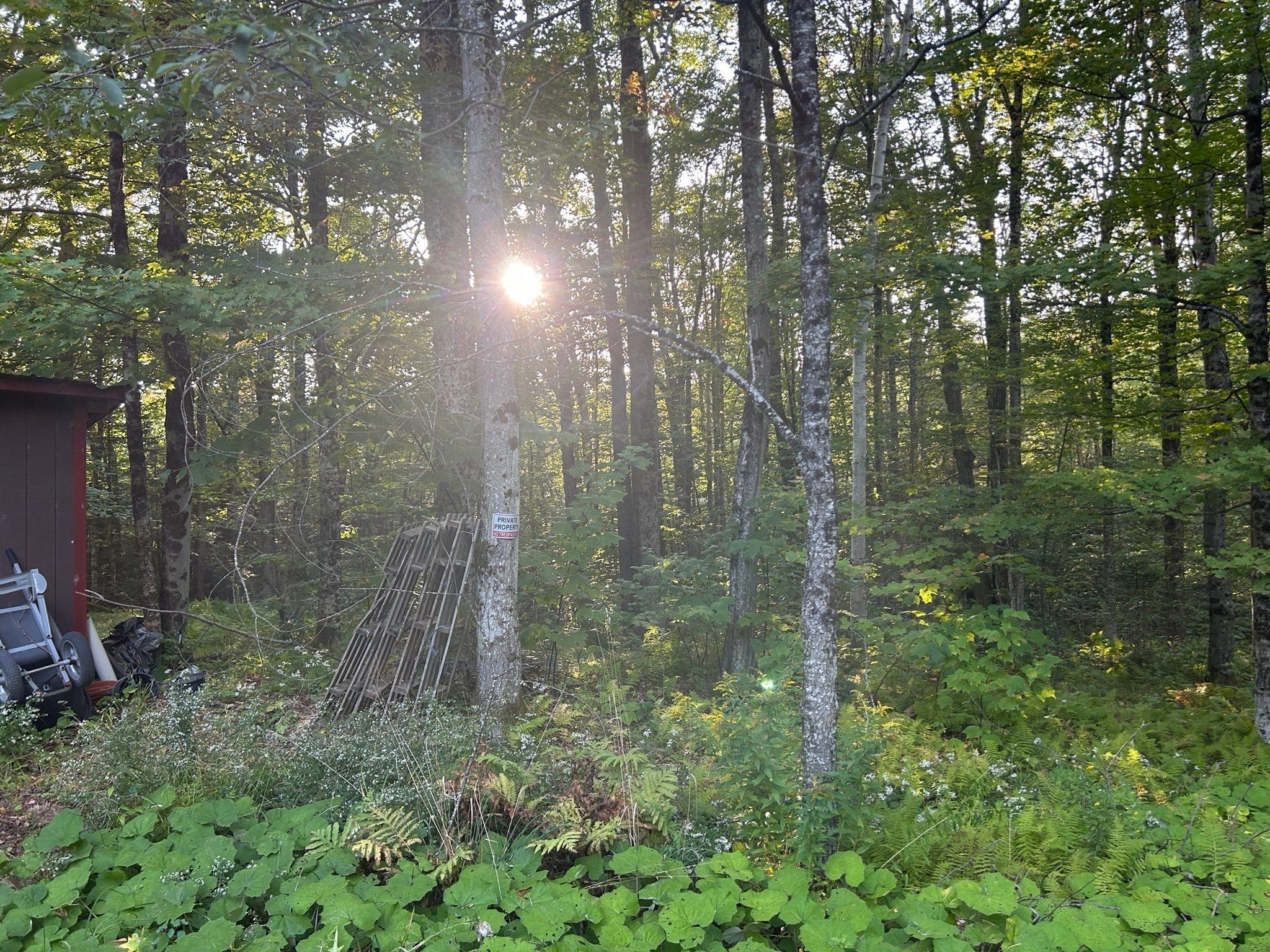 96 West St, Plainfield, MA Photo #15