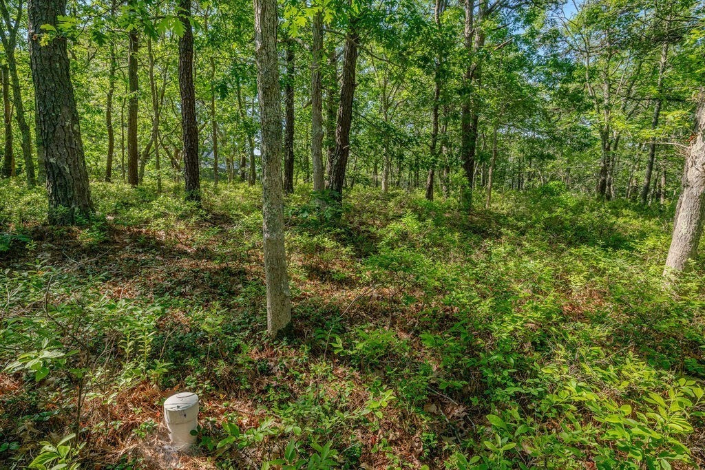 240 Gross Hill Rd