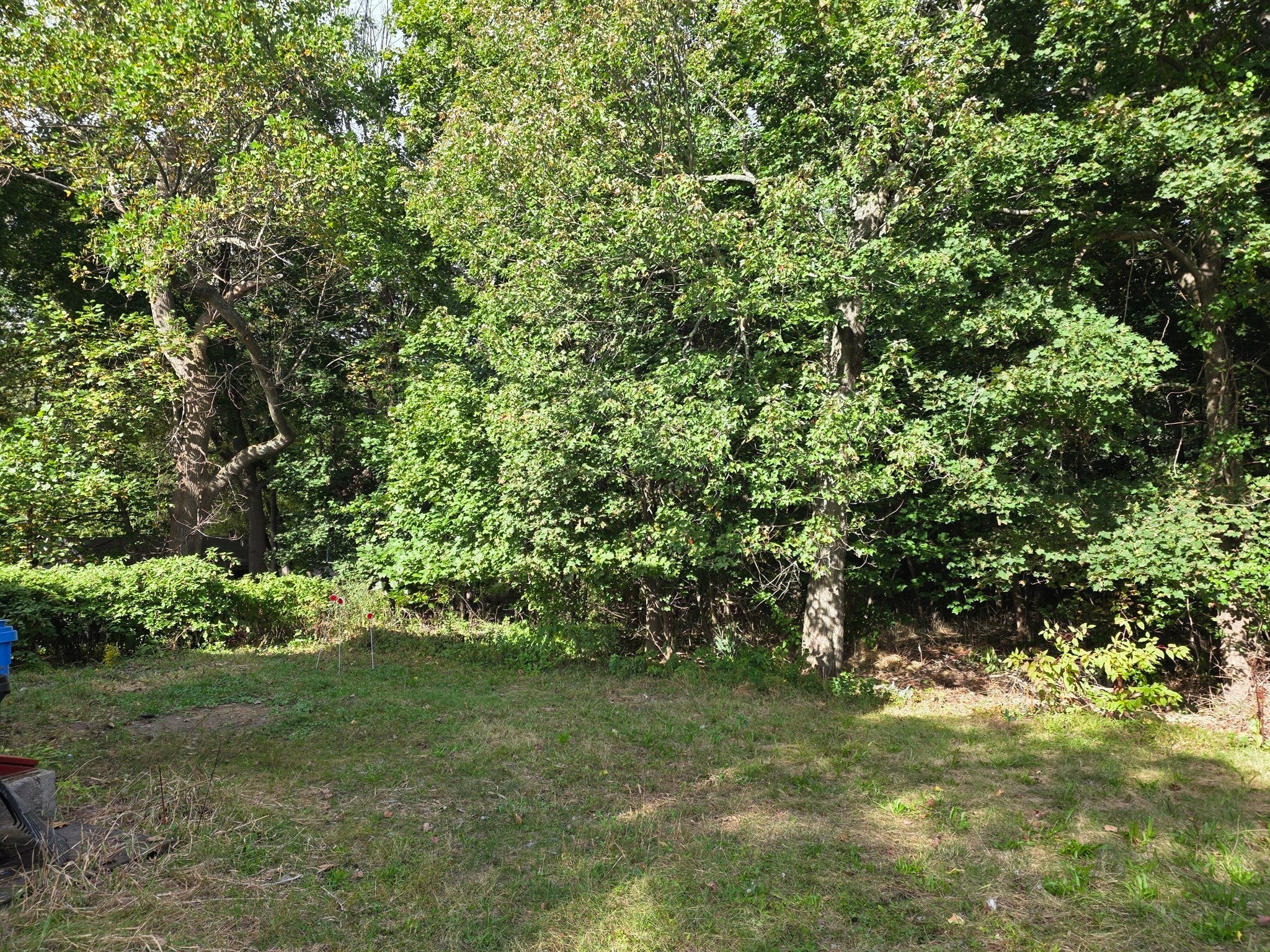 162 Winter St, Wrentham, MA, 162 Winter St, Wrentham, MA Photo #15