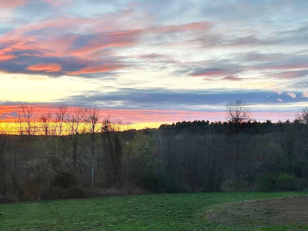 777 Ridge Rd, Hardwick, MA, 777 Ridge Rd, Hardwick, MA Photo #41