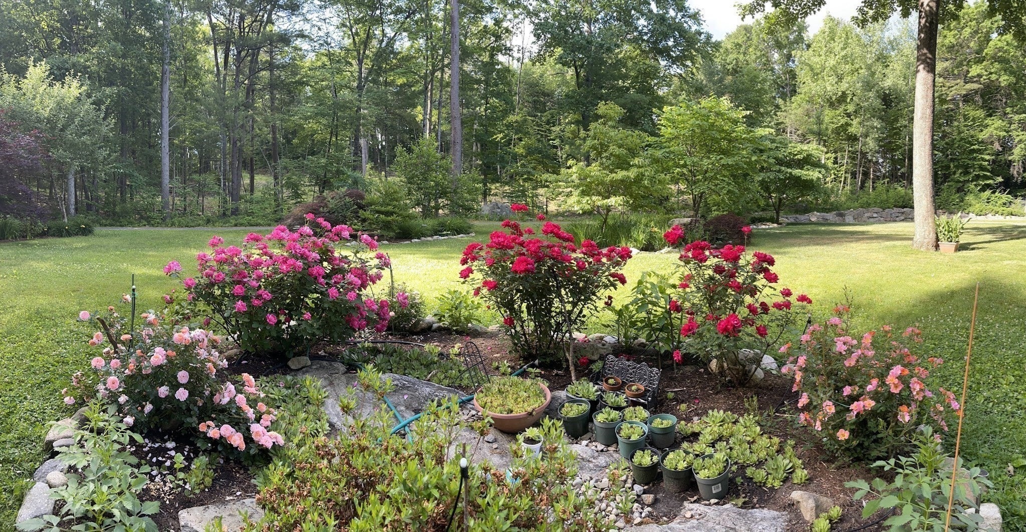 17 Wyndcliff Drive, Acton, MA, 17 Wyndcliff Drive, Acton, MA Photo #41