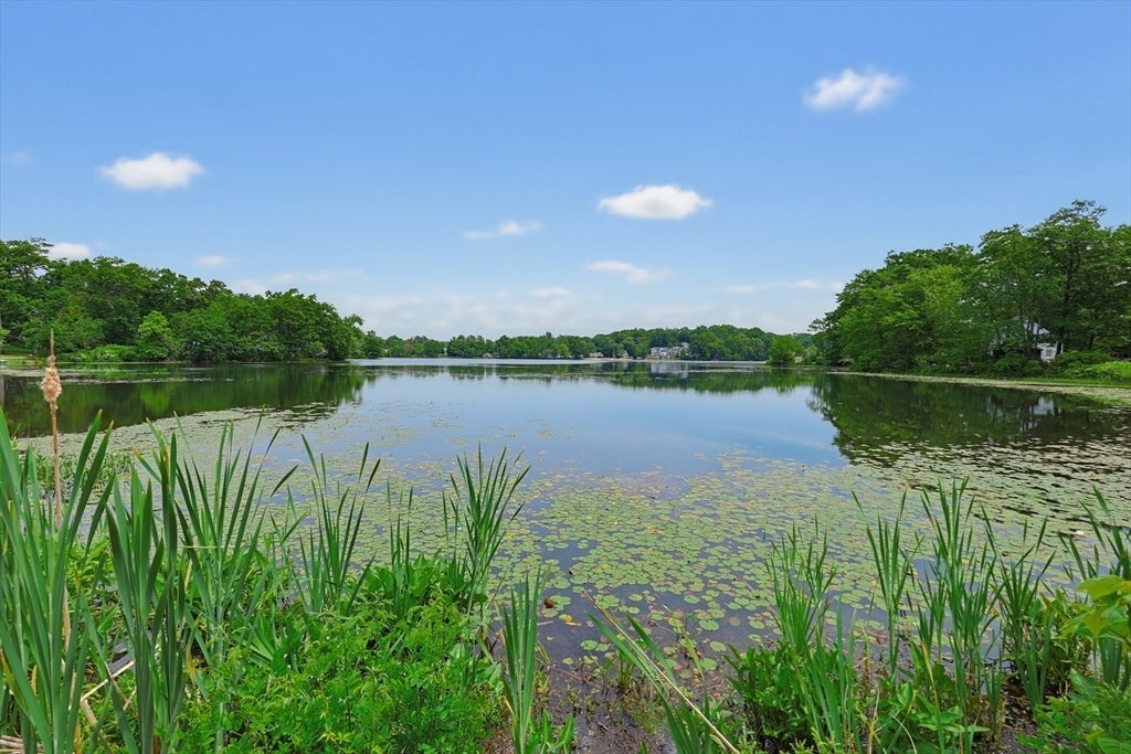 11 3rd Ave, Chelmsford, MA, 11 3rd Ave, Chelmsford, MA Photo #3