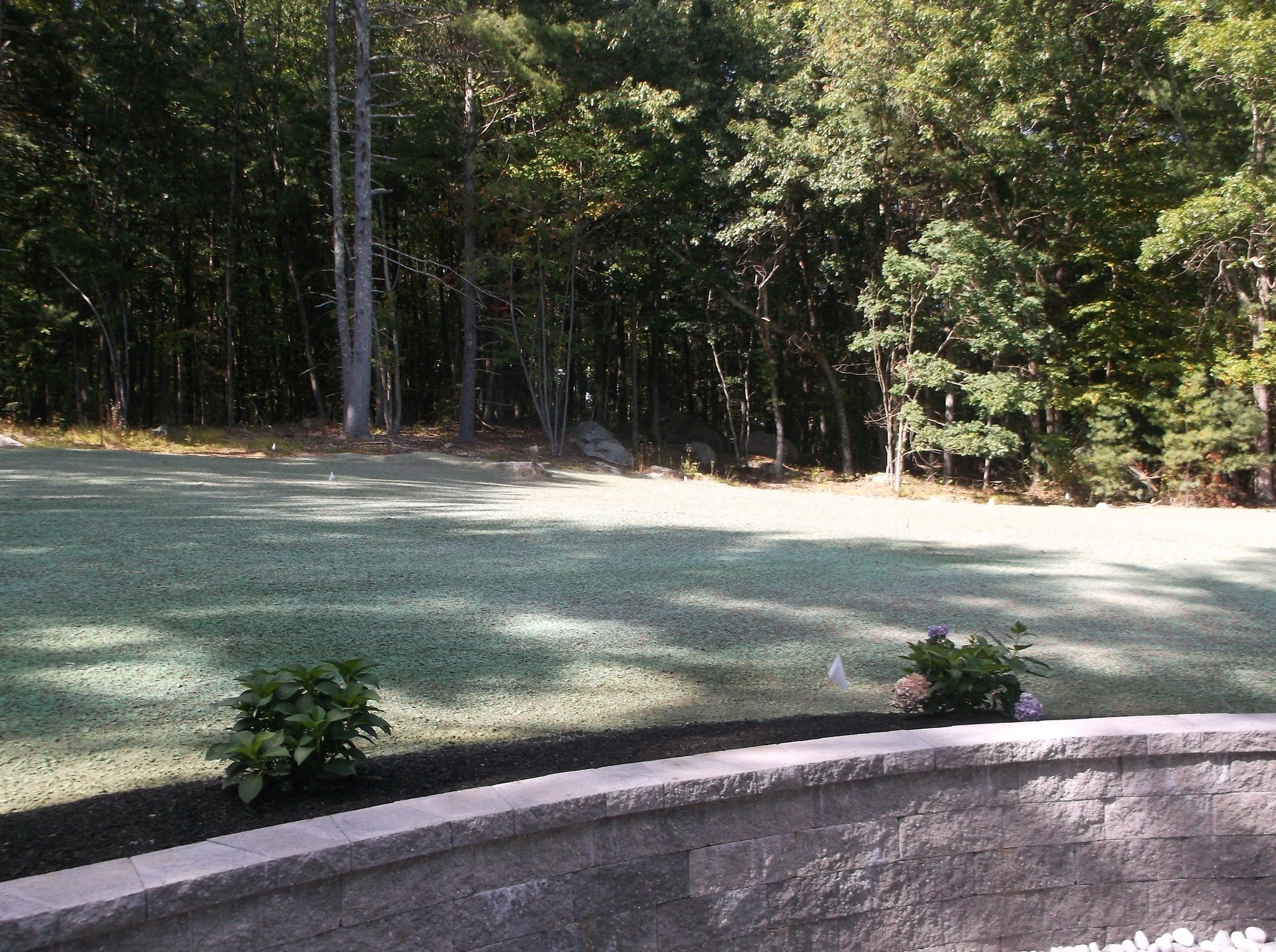 Lot 8 Pond View