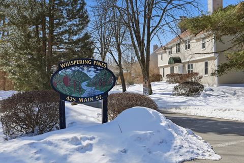 425 Main Street 20D Hudson MA 01749