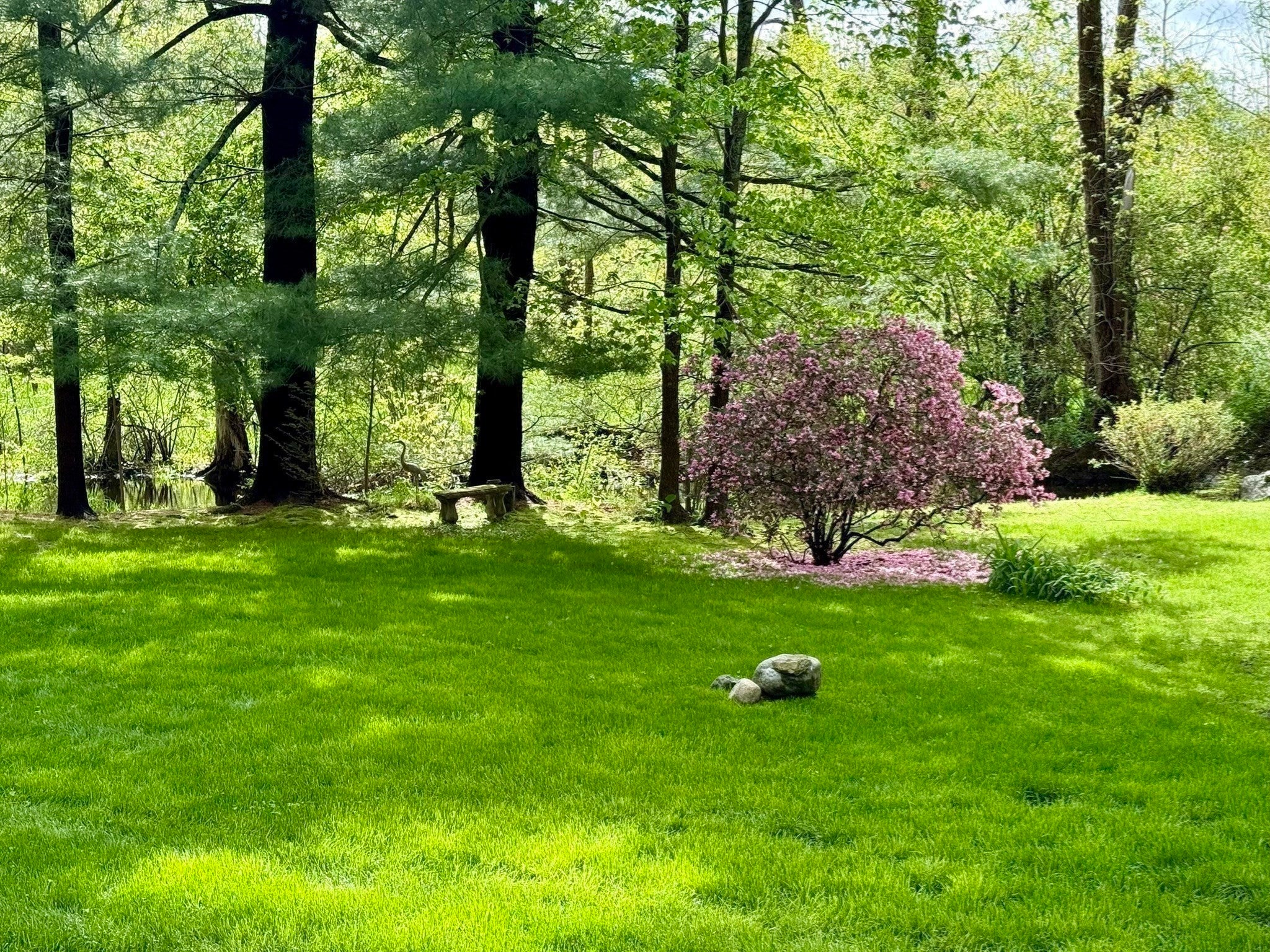 115 Brookside Ave, Belmont, MA, 115 Brookside Ave, Belmont, MA Photo #21