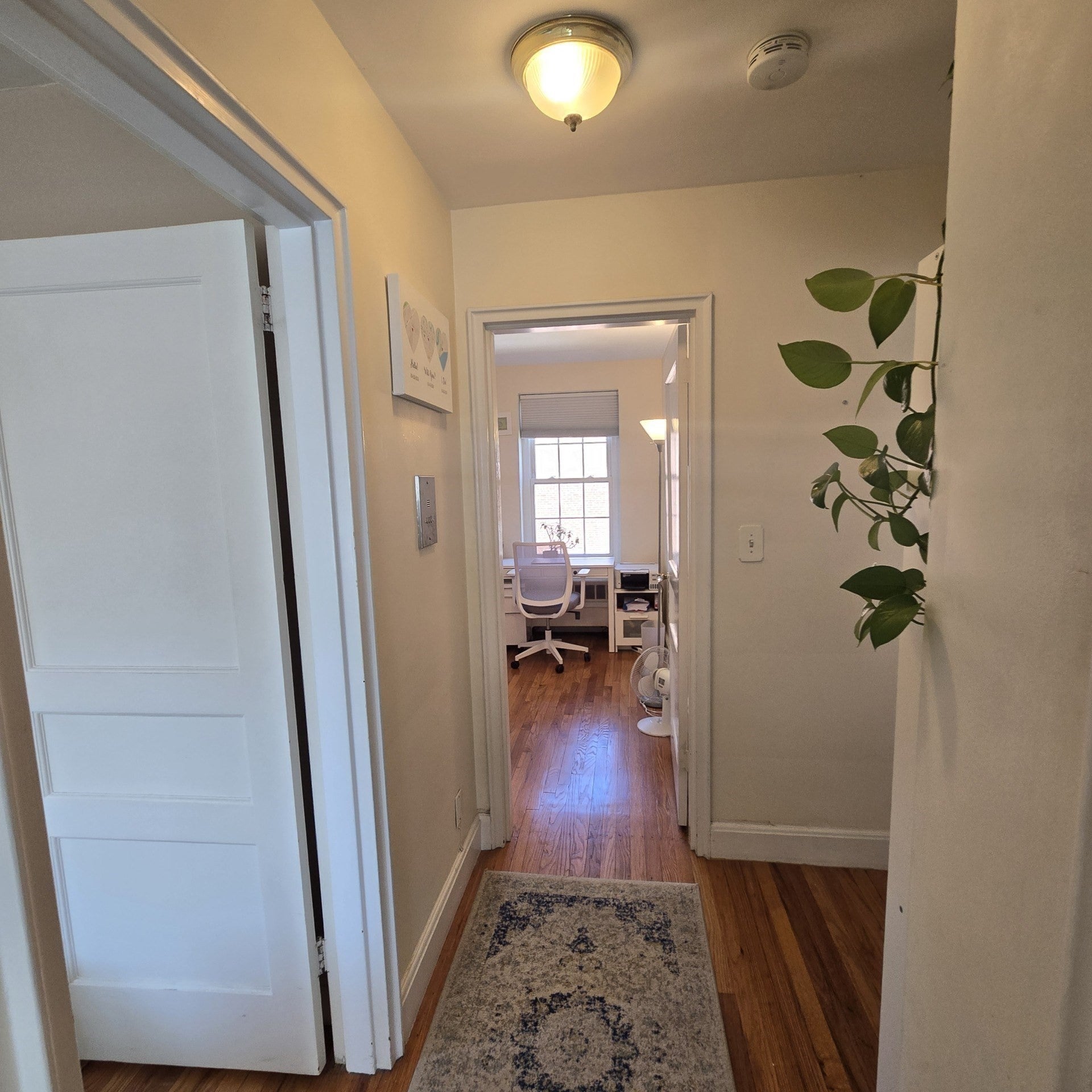 31-1/2 Englewood Ave #3, Brookline, MA, 31-1/2 Englewood Ave #3, Brookline, MA Photo #7