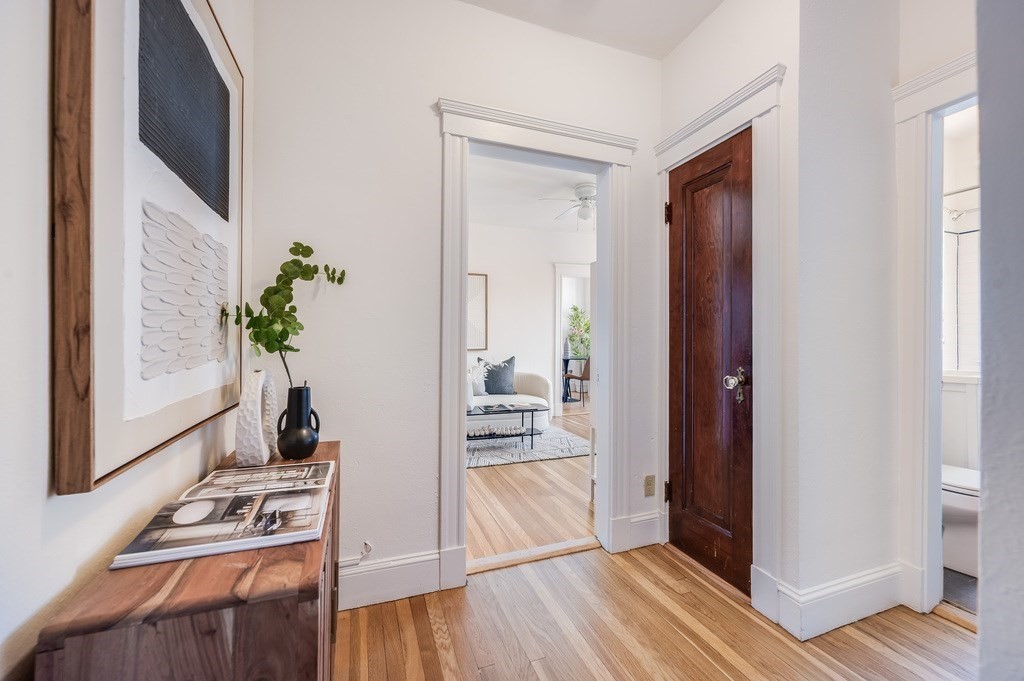 42 Linnaean Street 14