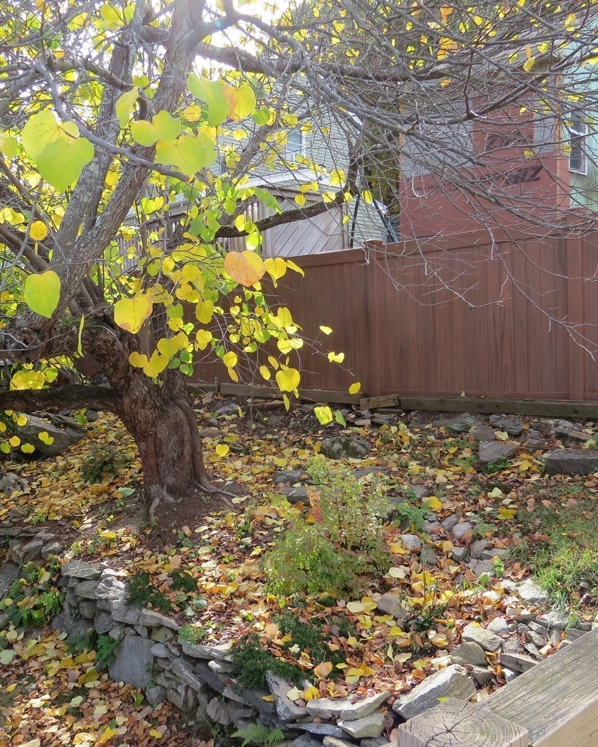 11 Sonoma Dr, Worcester, MA, 11 Sonoma Dr, Worcester, MA Photo #8