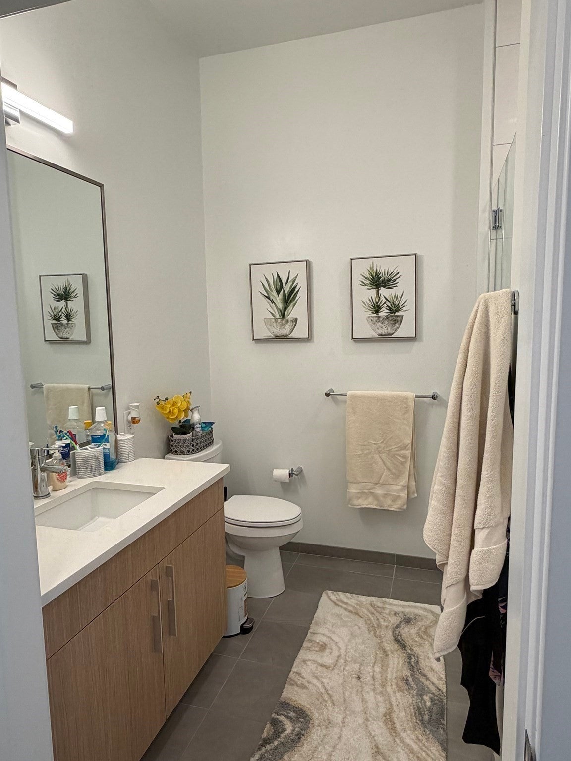 301 Guest St #304, Boston, MA, 301 Guest St #304, Boston, MA Photo #15
