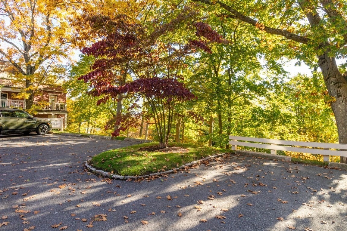 216 Summit Ave B-102, Brookline, MA, 216 Summit Ave B-102, Brookline, MA Photo #15