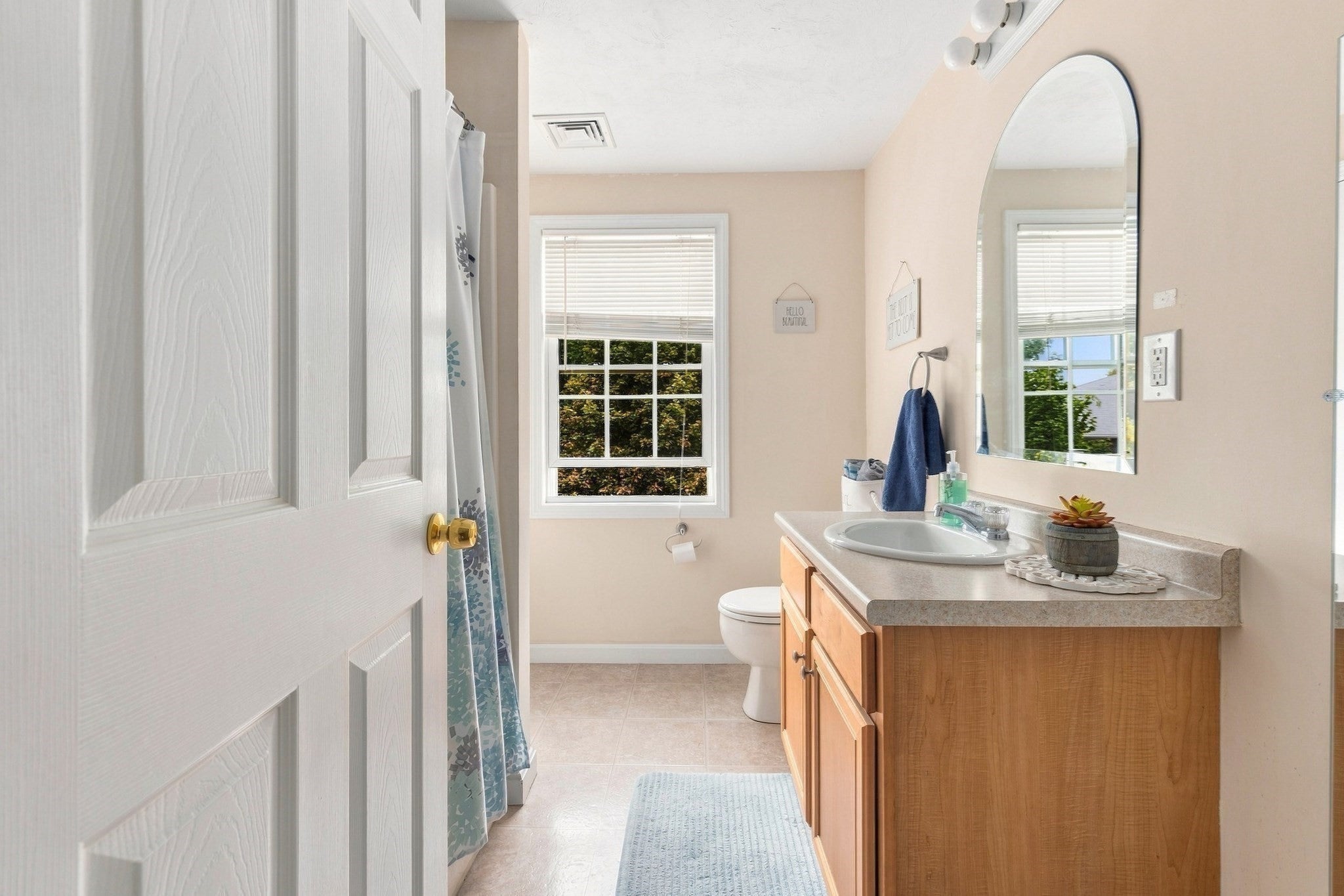 417 Hildreth St #5, Lowell, MA, 417 Hildreth St #5, Lowell, MA Photo #14