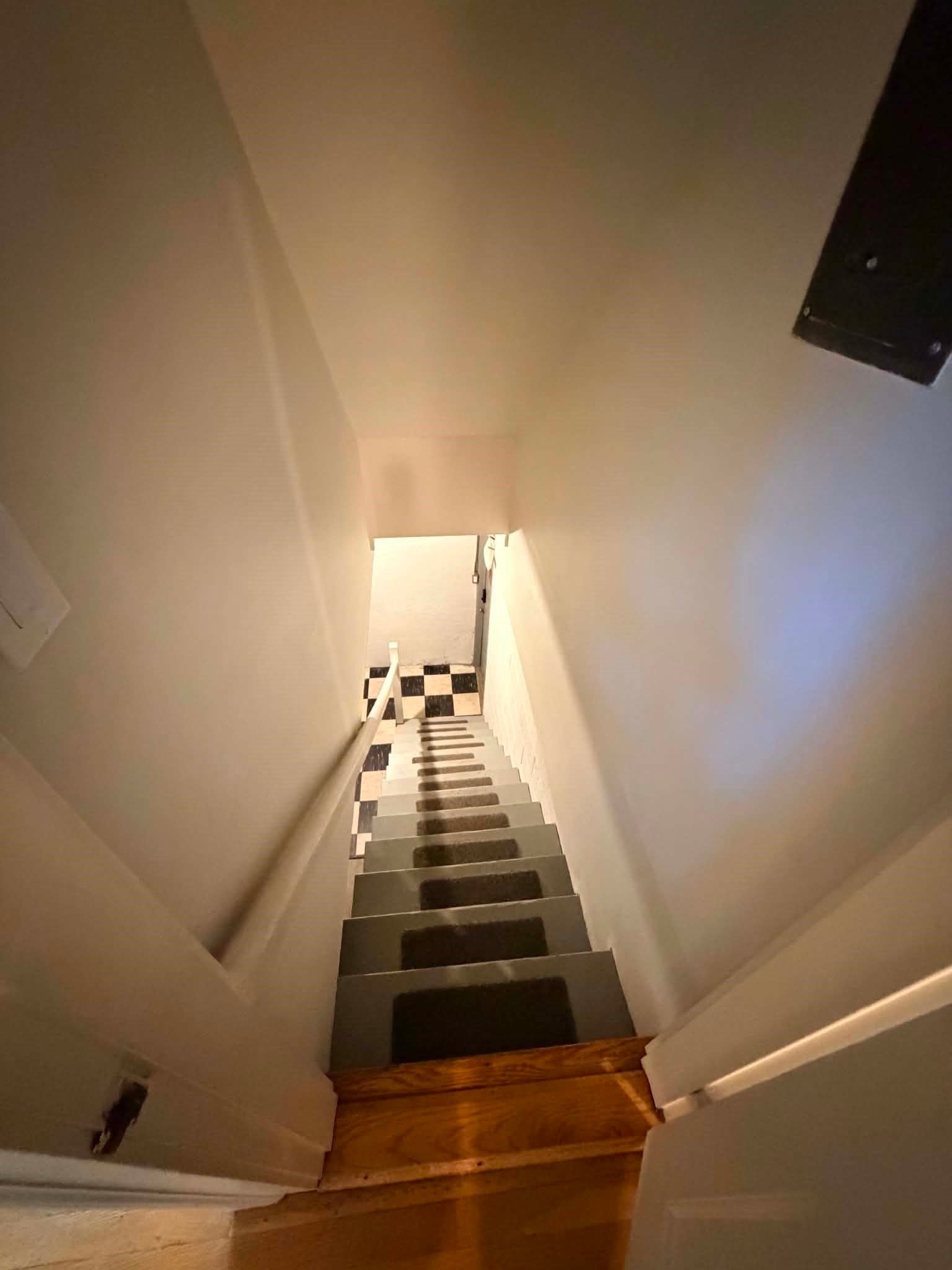 41 Locust Ave, Lexington, MA Photo #19