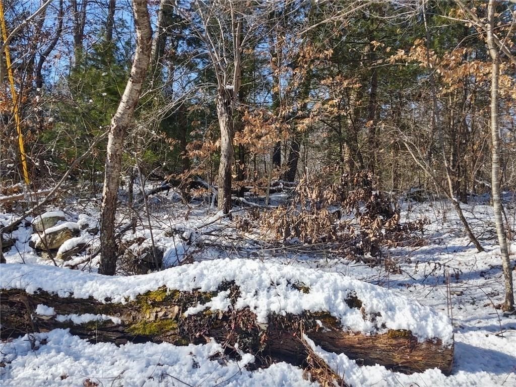 0 Winter St