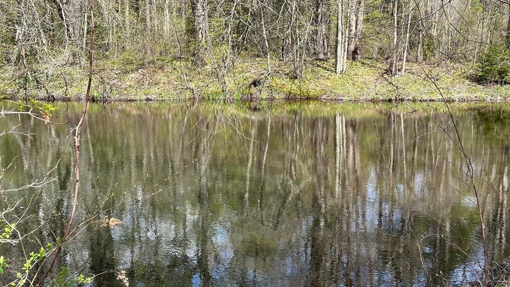 266 Brookfield Rd, Charlton, MA Photo #28