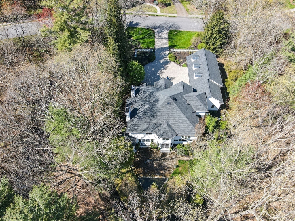 98 Bridle Trail Rd, Needham, MA Photo #37