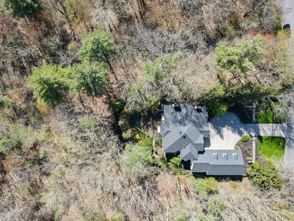 98 Bridle Trail Rd, Needham, MA Photo #36