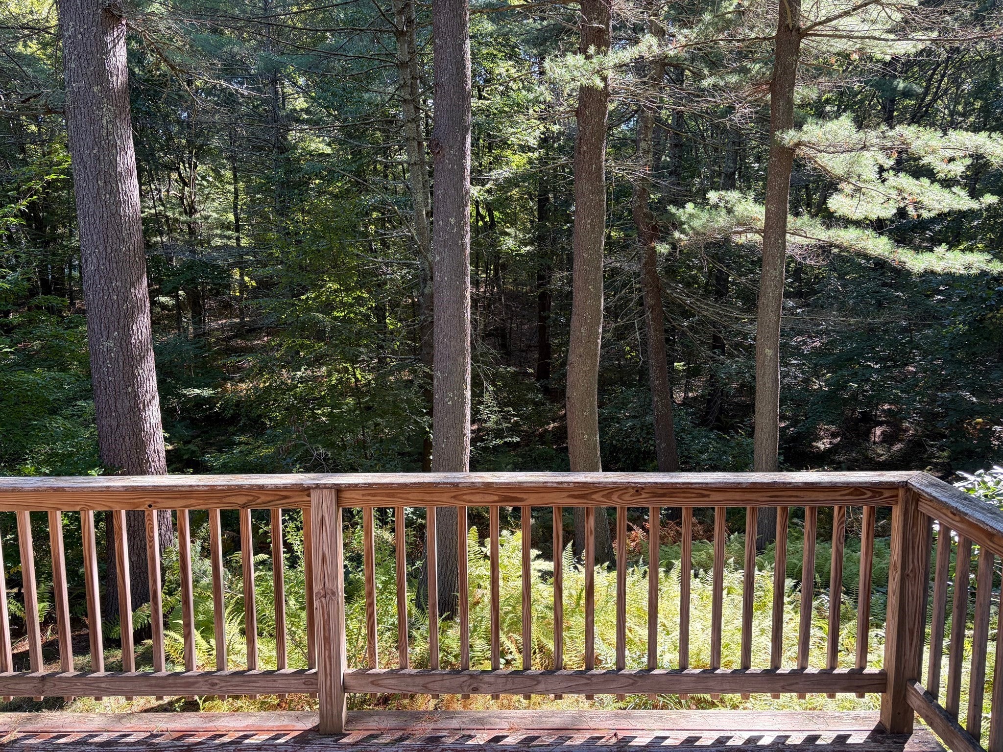 23 Forest St, Upton, MA, 23 Forest St, Upton, MA Photo #17