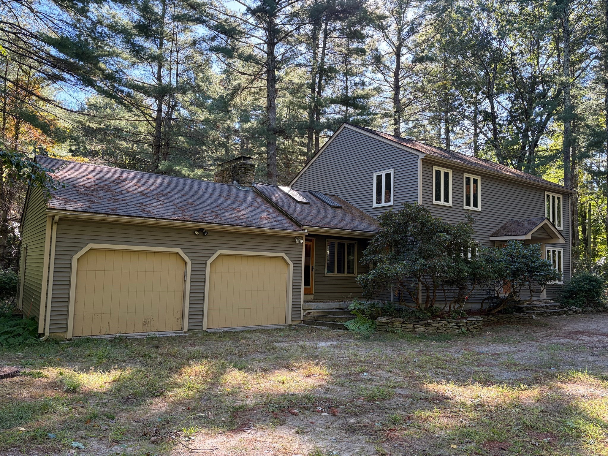 23 Forest St