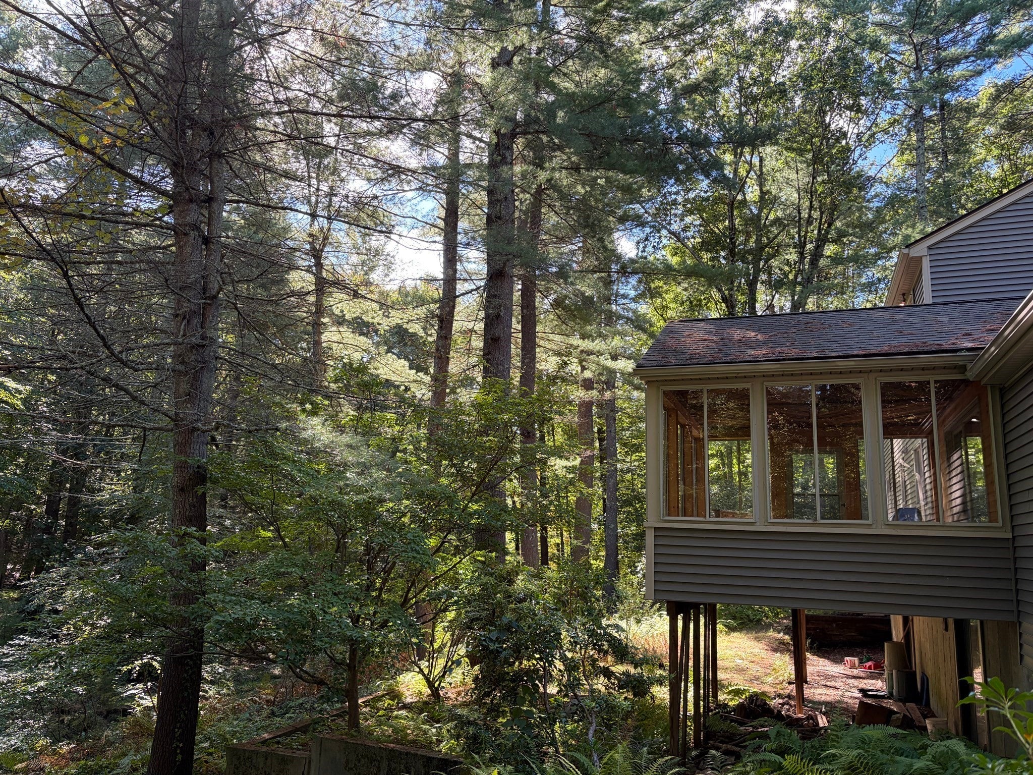 23 Forest St
