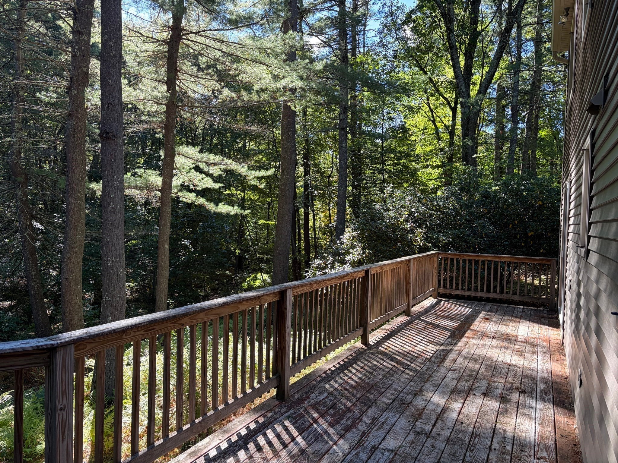 23 Forest St, Upton, MA, 23 Forest St, Upton, MA Photo #19