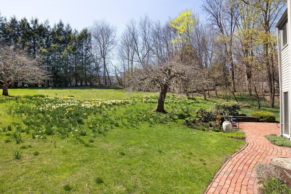 185 Warren Street, Brookline, MA, 185 Warren Street, Brookline, MA Photo #21