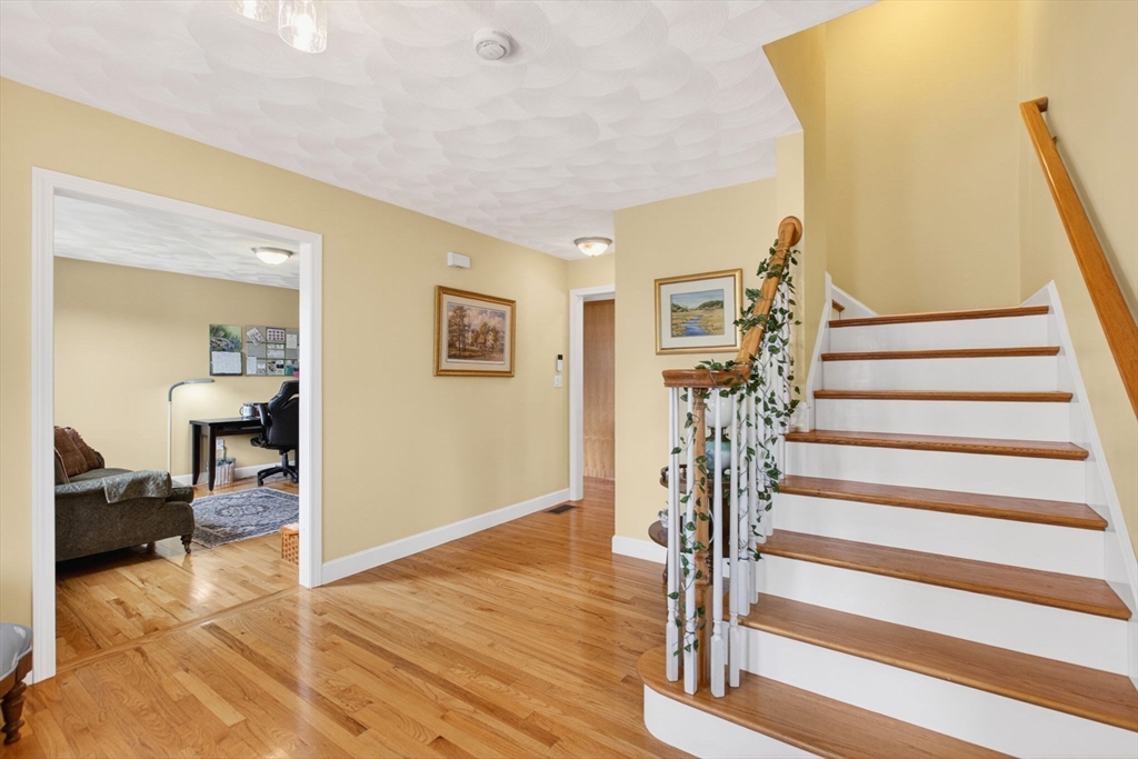 1 Magnavista Dr