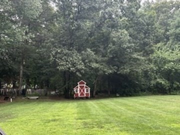 3 Forest St