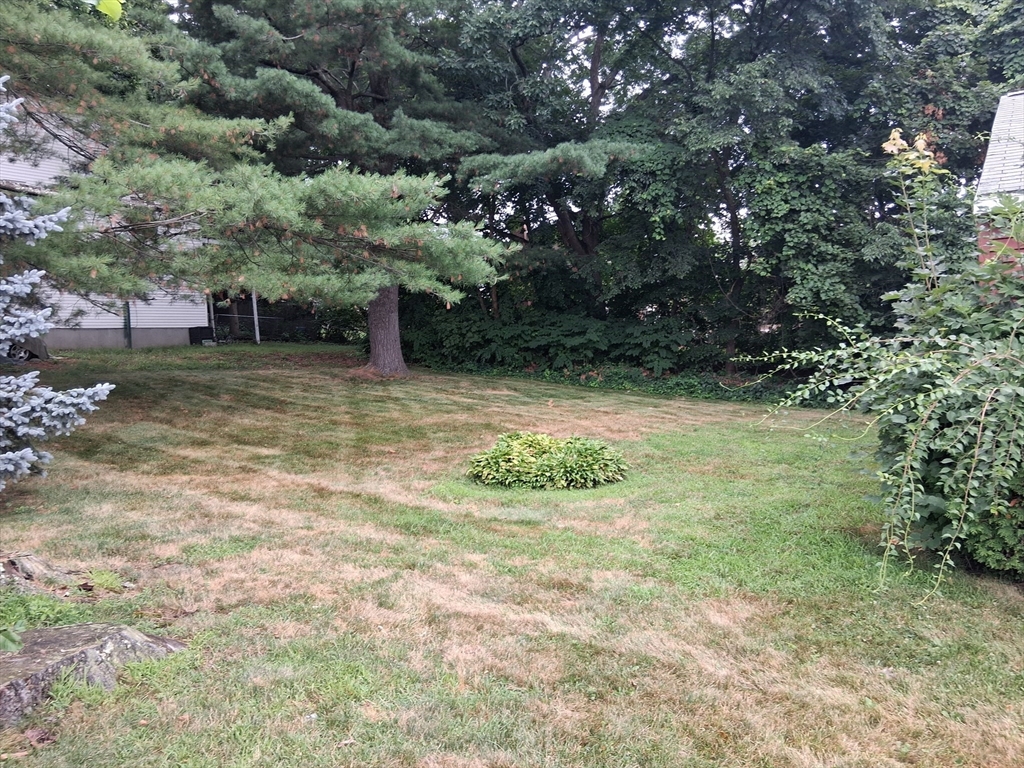 45 Erie Ave, Worcester, MA, 45 Erie Ave, Worcester, MA Photo #3