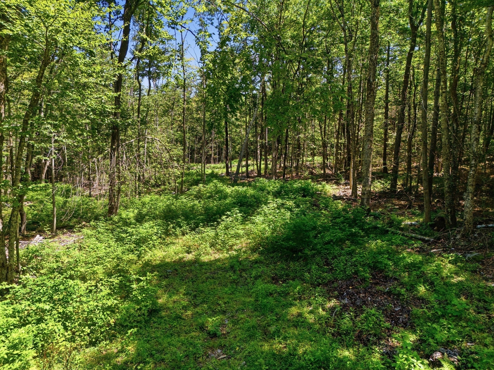 Lot 00 Thayer Hill Road