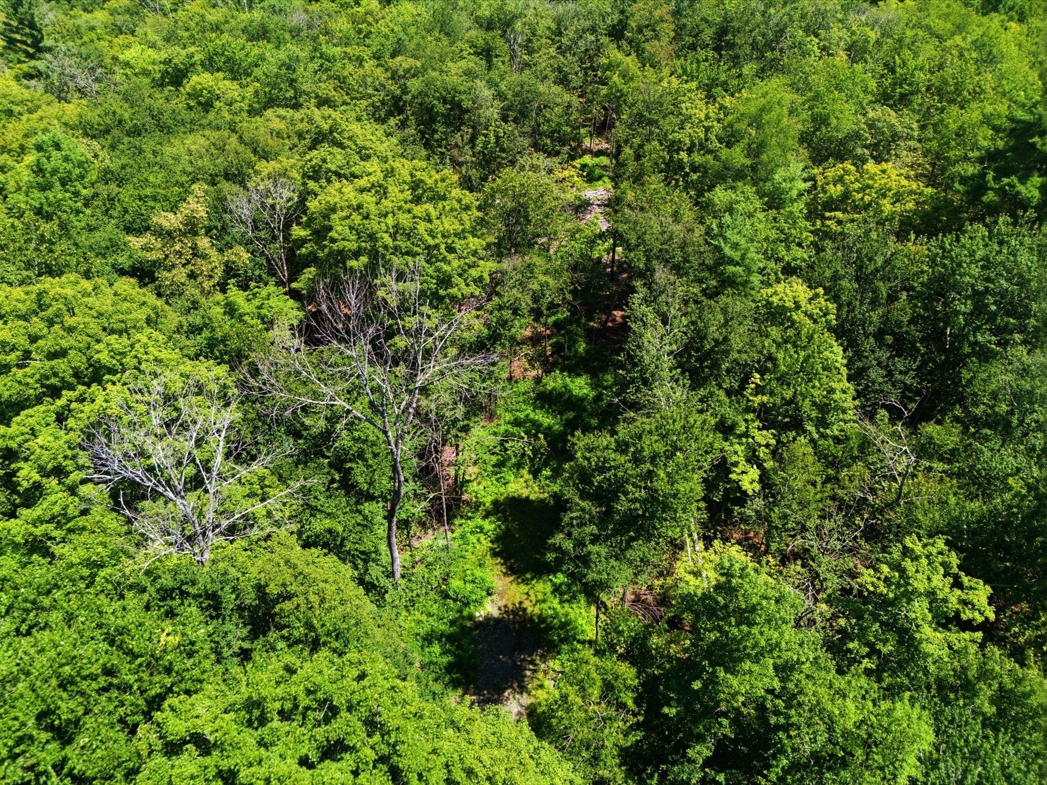 Lot 00 Thayer Hill Road