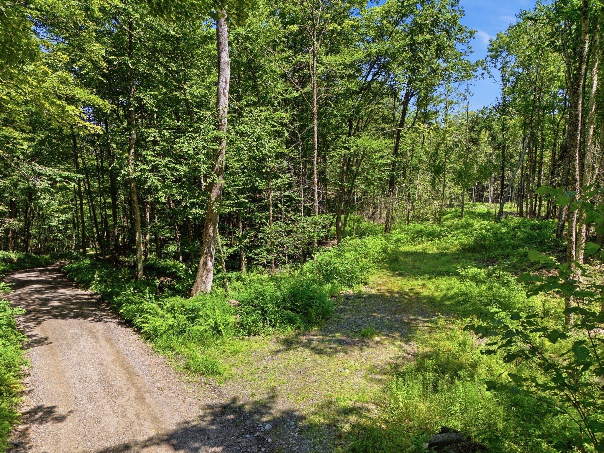 Lot 00 Thayer Hill Road