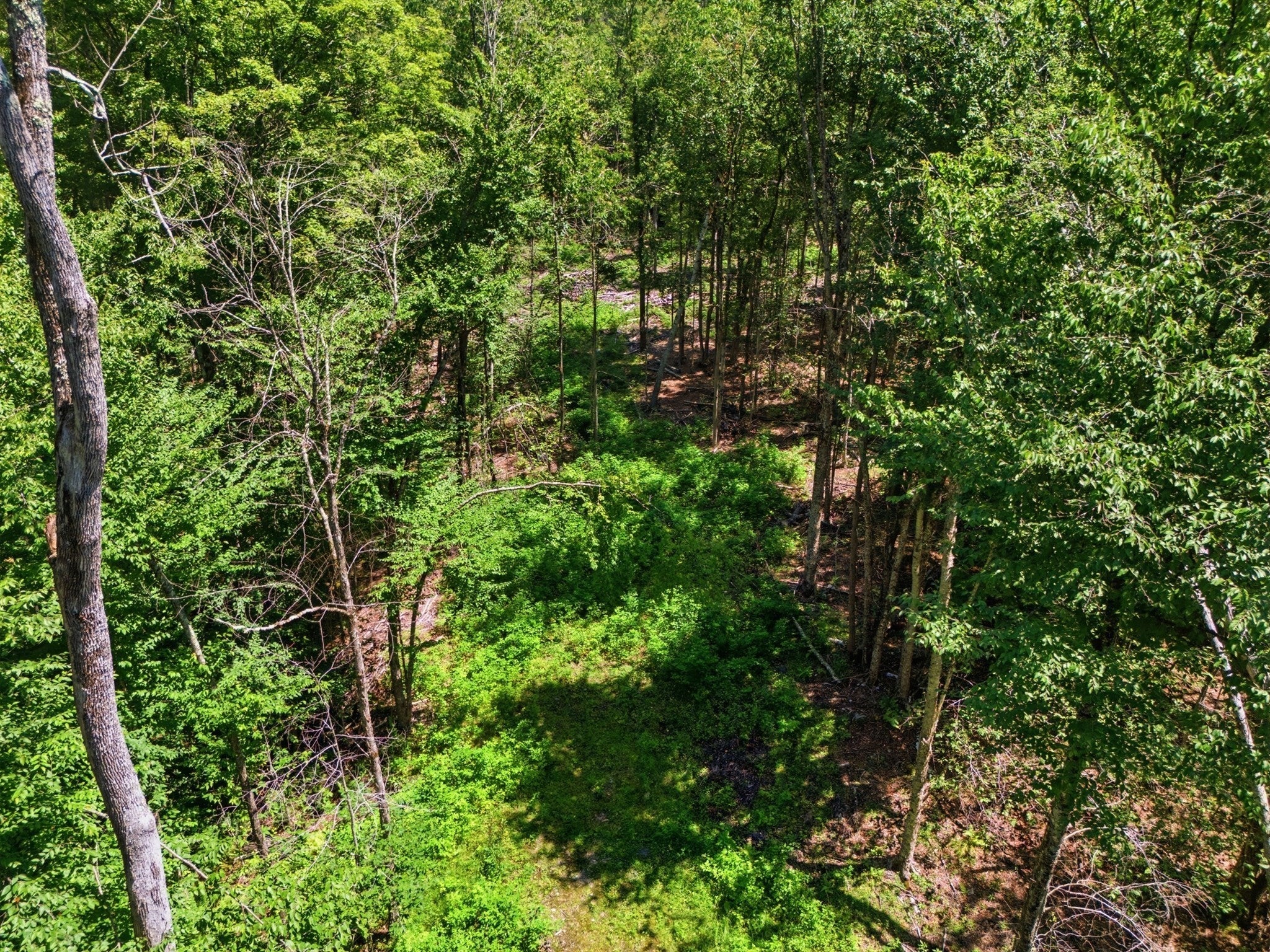 Lot 00 Thayer Hill Road
