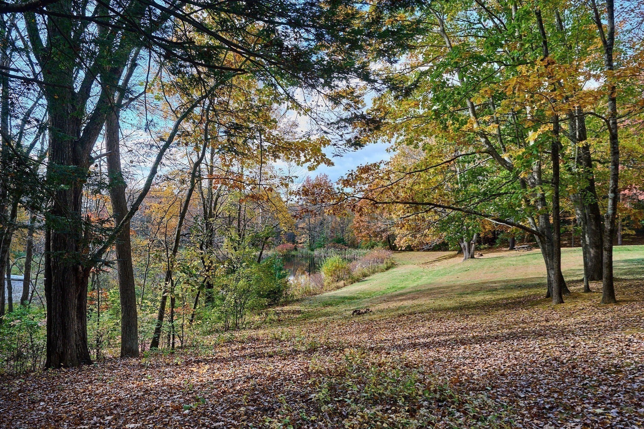218 Heatherstone Rd, Amherst, MA, 218 Heatherstone Rd, Amherst, MA Photo #42