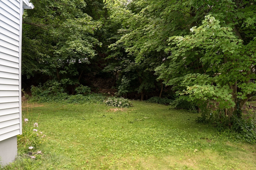 159 Roy ST, Springfield, MA Photo #6